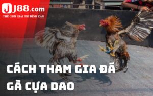 Nài là ai và đóng vai trò gì trong trận đấu?