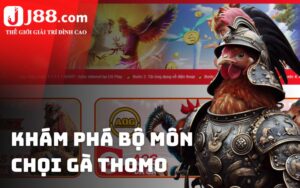 Khám phá chọi gà thomo đầy hấp dẫn