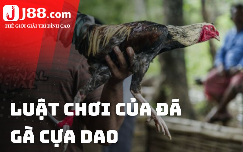 Luật chơi của đá gà cựa dao