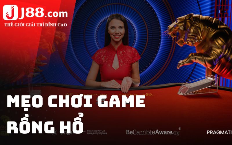 Mẹo chơi game Rồng Hổ