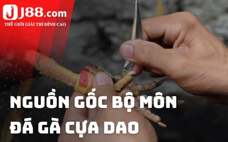 Nguồn gốc bộ môn đá gà cựa dao