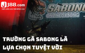 Lưu ý quan trọng khi tham gia cá cược tại trường gà Sabong