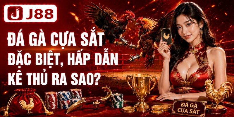Đá Gà Cựa Sắt | Khám Phá Những Trận Thư Hùng Kịch Tính 2 Đá gà cựa sắt đặc biệt, hấp dẫn kê thủ ra sao?