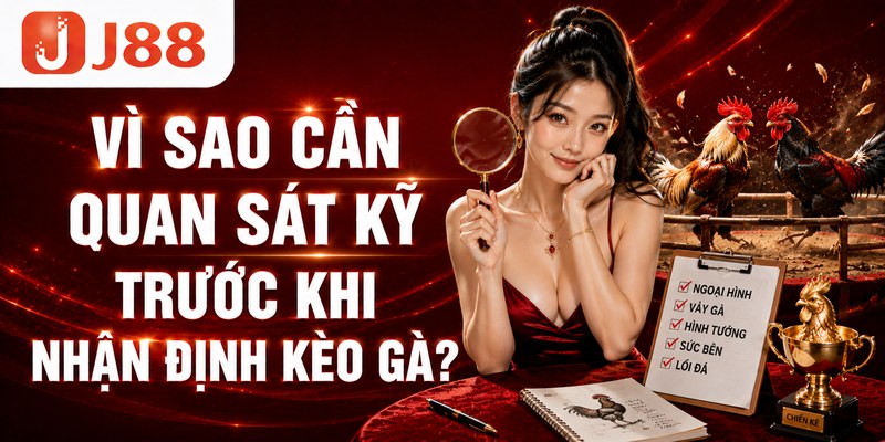 Vì sao cần quan sát kỹ trước khi nhận định kèo gà?